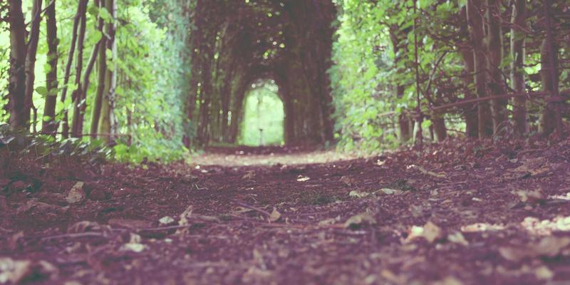 从玉雕与石雕技艺看非洲雕刻艺术：面具与图腾的仪式密码与现代启示