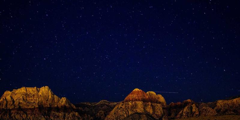 从象牙到木雕：当代手工雕刻的伦理转向与艺术品定制新趋势