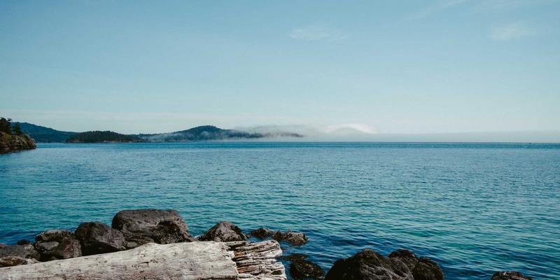 冰雕艺术的季节性特点与展览策划：艺术品定制与手工雕刻的完美融合