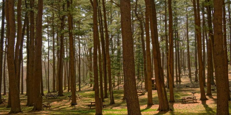 手工雕刻的仪式密码：从约鲁巴面具看非洲原始艺术中的玉雕智慧与工艺品定制传统
