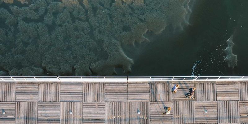 木雕与玉雕的微观奇迹：如何在米粒与发丝上雕刻完整诗篇与肖像