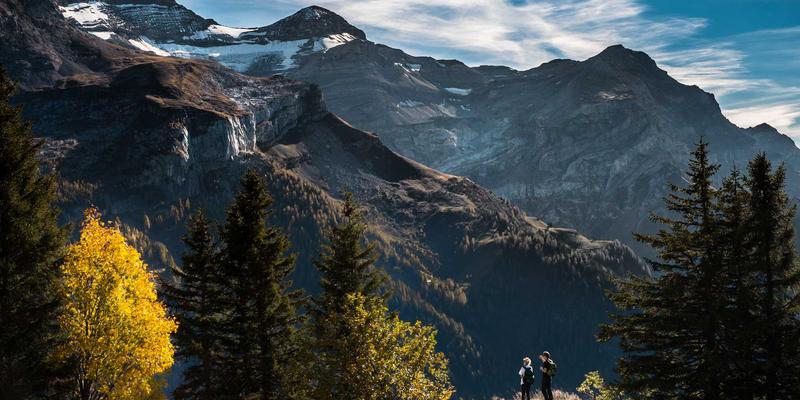 木雕与石雕的现代蜕变：镂空雕刻如何重塑当代装置艺术的光影空间