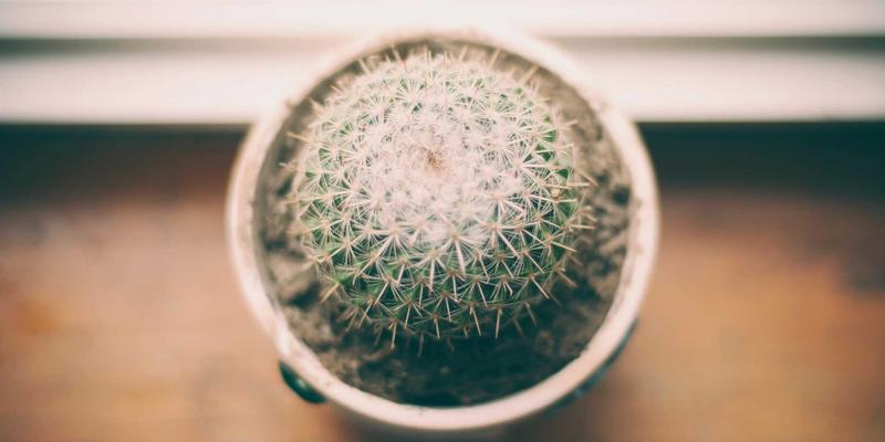 玉雕与手工雕刻：在果核微观宇宙中探寻极致匠心与禅意哲学