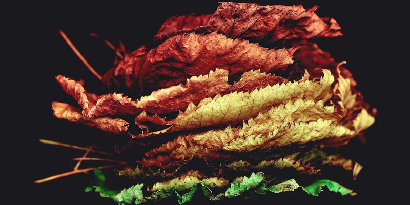 石雕与木雕的生态交响：探索大地艺术中的巨型岩石雕刻与工艺品定制新维度