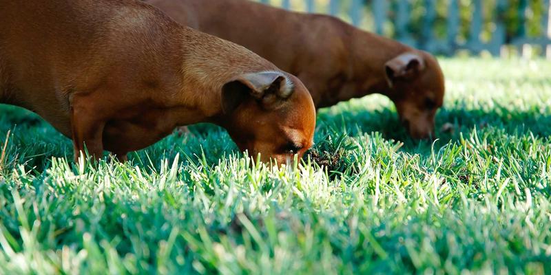 雕刻工具演变史：从原始燧石到数控刀头，工具如何推动艺术革命与艺术品定制