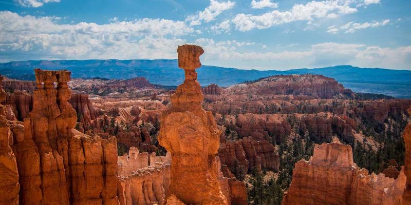 雕刻艺术19:从石雕到木雕,探寻永恒与温润的对话