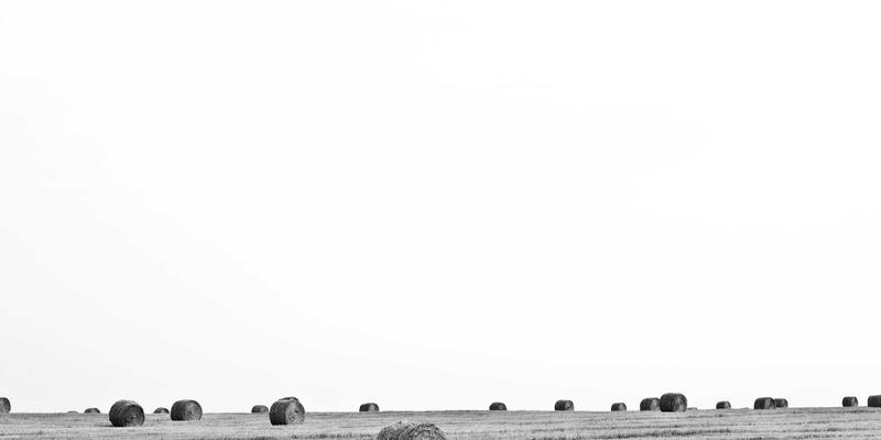 雕刻艺术38：玉雕、手工雕刻与工艺品定制的匠心传承